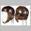 standard_helmet.jpg